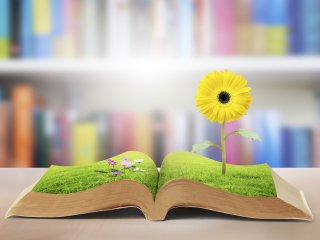 Creativity Training for Writers Creativity Training for Writers